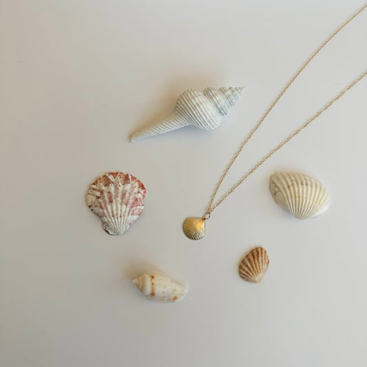 Scallop Necklace