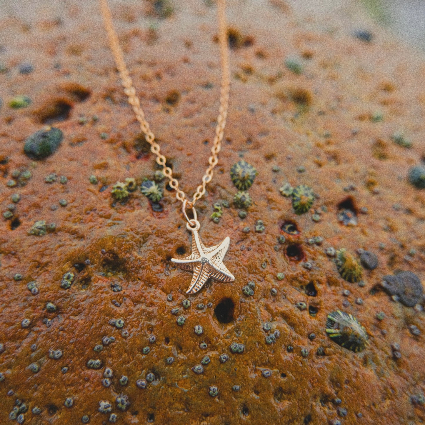 Starfish Necklace