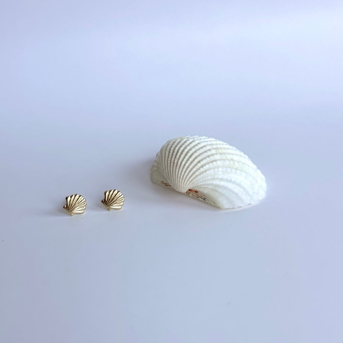 Seashell Earrings